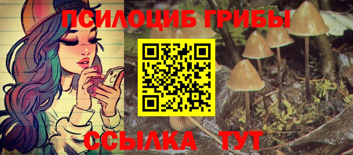 Псилоцибиновые грибы мицелий Азнакаево